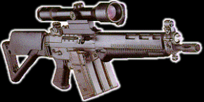 Sig SG 551 Swat Series 2