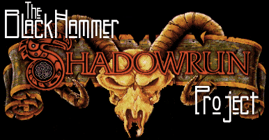 BlackHammer ShadowRun Project